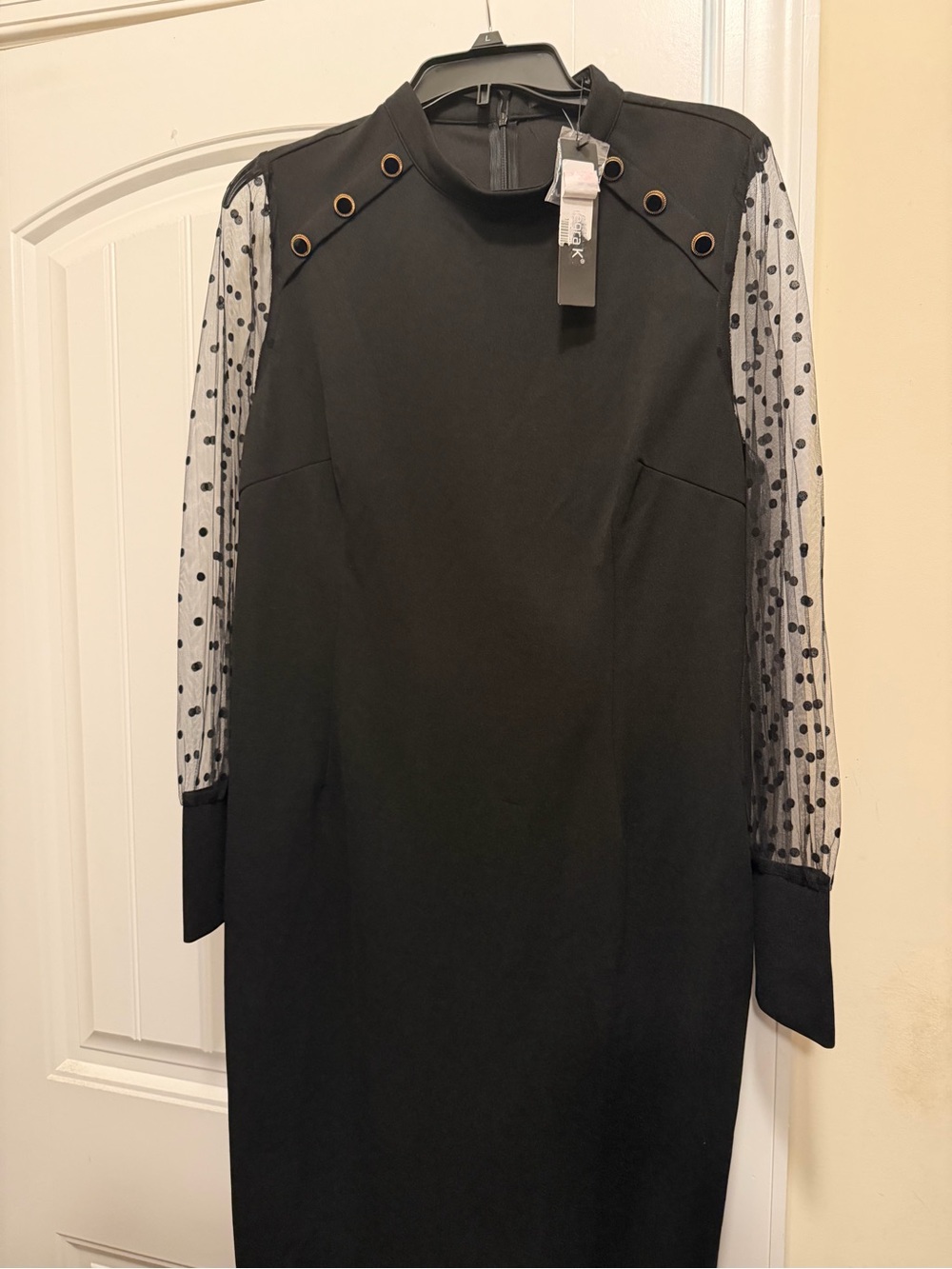 Elegant Black Sheer-Sleeve Women's Dress